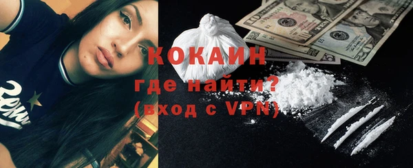 гидра Новодвинск