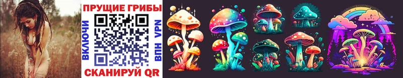 shop какой сайт  Партизанск  Галлюциногенные грибы Cubensis 