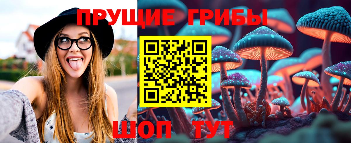 Партизанск  Псилоцибиновые грибы мицелий  Псилоцибиновые грибы GOLDEN TEACHER  Вход с VPN 