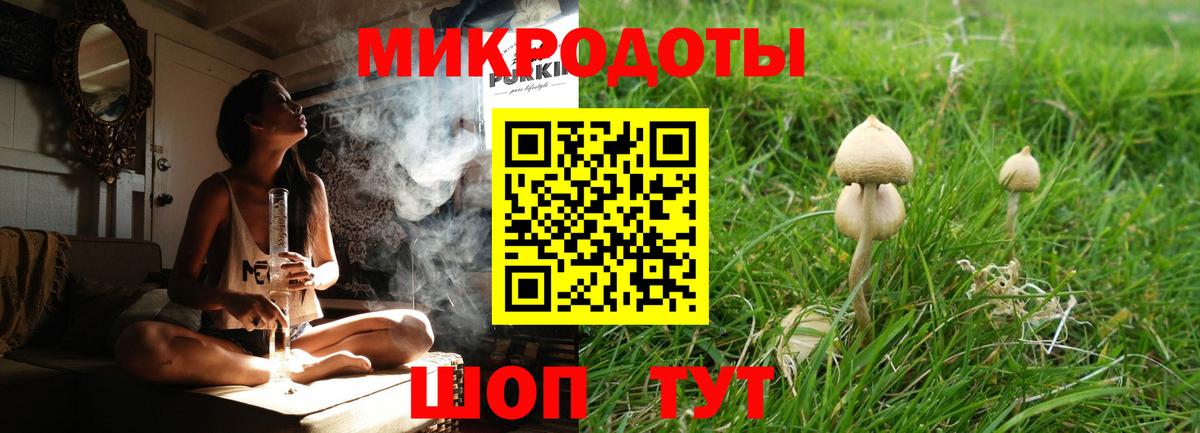 Псилоцибиновые грибы мицелий Партизанск