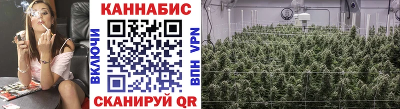 Канабис SATIVA & INDICA  где продают наркотики  Партизанск 